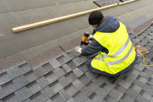 Roof Gutter Cleaning in Vista Center, NJ