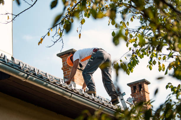 Best Roof Leak Repair  in Vista Center, NJ