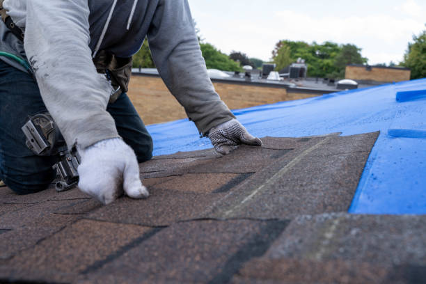 Best Best Roofing Contractors  in Vista Center, NJ