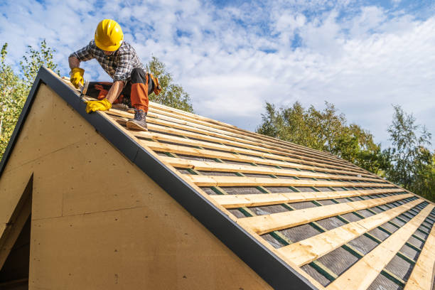 Best Roof Gutter Cleaning  in Vista Center, NJ