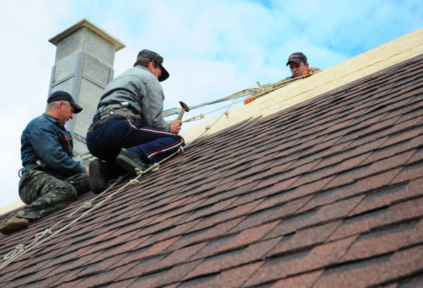 Best Storm Damage Roof Repair  in Vista Center, NJ