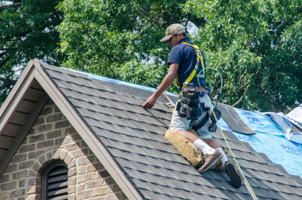 Best Sealant for Roof  in Vista Center, NJ